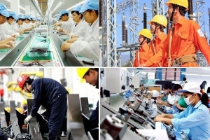 3.637 doanh nghiệp tại Hà Nội hoạt động trở lại trong tháng 1/2025