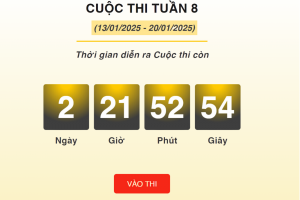Hơn 10.000 lượt thi “Chống hàng giả và lừa đảo trực tuyến” tuần 8