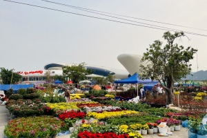 Thành phố Hạ Long: Tổ chức 8 điểm chợ hoa xuân phục vụ Tết Ất Tỵ 2025