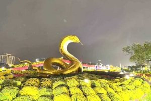 Đà Nẵng rộn ràng không khí xuân