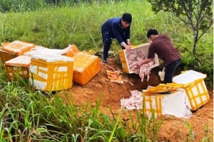 Nghệ An: Tiêu hủy 600 kg nội tạng động vật không rõ nguồn gốc