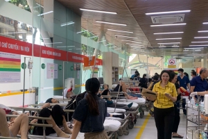 Đắk Lắk tăng cường phòng, chống bệnh truyền nhiễm trong dịp Tết Nguyên đán và mùa lễ hội 2025