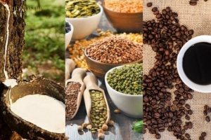 Chỉ số MXV-Index tăng 0,17% lên trên mức 2.312 điểm; giá đậu tương, ca cao tăng