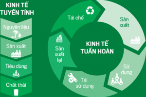 Kế hoạch hành động quốc gia thực hiện kinh tế tuần hoàn đến năm 2035 có gì mới?
