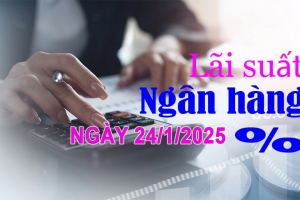 Lãi suất ngân hàng hôm nay 24/1: Diễn biến bất ngờ trước kỳ nghỉ Tết Nguyên đán Ất Tỵ 2025