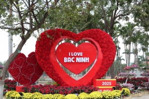 Bắc Ninh: Rực rỡ đường hoa Xuân Ất Tỵ năm 2025