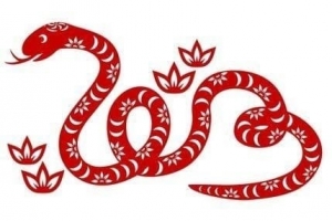 Năm Ất Tỵ 2025: Tuổi nào xông nhà mang lại tài lộc, may mắn cho gia chủ?