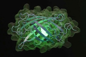 AI tạo ra protein phát quang, mở ra tương lai mới cho y học