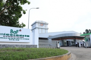 BaF Việt Nam ghi nhận lãi tăng mạnh đạt 109,25 tỷ đồng trong quý IV/2024