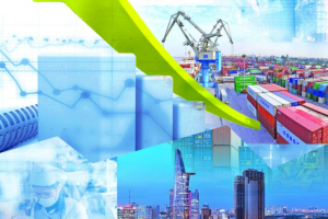 Trưởng đại diện các Tổ chức quốc tế: Việt Nam luôn là lựa chọn hàng đầu trong các lĩnh vực