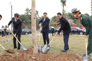 Vĩnh Phúc đặt mục tiêu phủ xanh với hơn 737.000 cây trồng mới