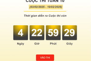 Gần 5.000 lượt thi “Chống hàng giả và lừa đảo trực tuyến” tuần 10
