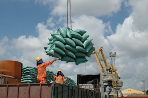 Mở rộng thị trường, giữ vững tăng trưởng xuất khẩu gạo