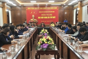 Bình Định: Hội nghị lần thứ nhất Ban Chấp hành Đảng bộ UBND tỉnh