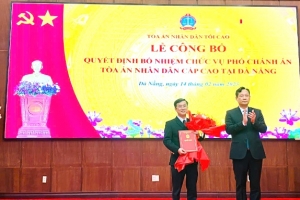 Bổ nhiệm Phó Chánh án Tòa án nhân dân cấp cao tại thành phố Đà Nẵng