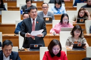 Đại biểu Quốc hội: “Dự án năng lượng tái tạo đang đứng im gây lãng phí"
