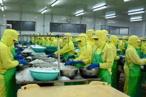 Cà Mau hỗ trợ pháp lý cho doanh nghiệp nhỏ và vừa trong năm 2025