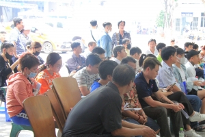 TP. Hồ Chí Minh sẽ cấp đổi đủ 150.000 giấy phép lái xe trong tháng 3