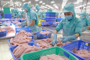 Xuất khẩu cá tra năm 2025 sẽ chinh phục những cột mốc mới về giá trị và số lượng