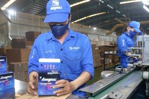 Pin Ắc quy Miền Nam lên kế hoạch phát hành cổ phiếu thưởng, đặt mục tiêu lợi nhuận năm 2025 đạt 165 tỷ đồng
