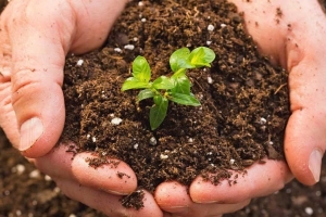 Phân bón của Việt Nam ngày một đắt hàng khắp Châu Á, xuất khẩu tăng hơn 200%