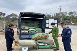 Cao Bằng: Phát hiện 2.3 tấn nguyên liệu thuốc lá không rõ nguồn gốc xuất xứ