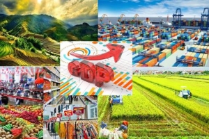Việt Nam củng cố nội lực, sẵn sàng ứng phó với nguy cơ thương chiến