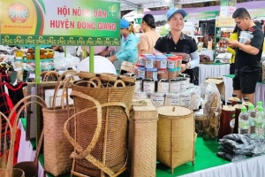 Quảng Nam: Trưng bày giới thiệu sản phẩm chào mừng 50 năm Ngày giải phóng