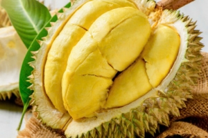 Giá sầu riêng hôm nay 20/2: Giá thu mua tại các kho tăng