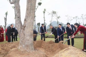 Trồng cây hữu nghị Việt Nam - Trung Quốc tại Công viên Hoa Hạ Long