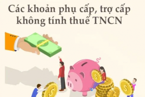 Năm 2025, những khoản phụ cấp, trợ cấp nào được miễn thuế thu nhập cá nhân?
