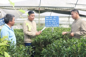 Thái Nguyên: Huyện Phú Lương đột phá khoa học công nghệ, nâng tầm phát triển