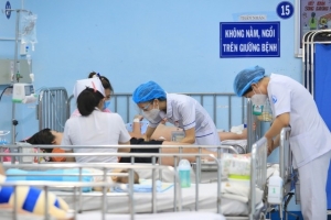 TP. Hồ Chí Minh cảnh báo nguy cơ dịch bệnh sốt xuất huyết bùng phát sớm
