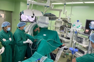 Quy chế tổ chức và hoạt động của Hội đồng Y khoa Quốc gia