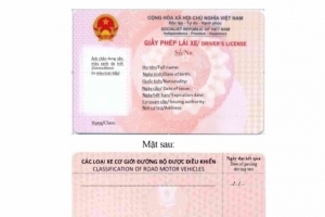 Mẫu giấy phép lái xe mới do Bộ Công an ban hành có gì đặc biệt?