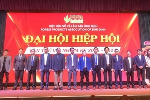FPA Bình Định: Phấn đấu xây dựng, phát triển thương hiệu “Đồ Gỗ Bình Định”