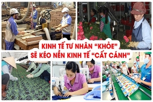 Xây dựng đề án Phát triển kinh tế tư nhân trình Bộ Chính trị