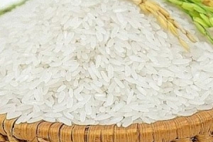 Thanh Hóa tập trung xây dựng thương hiệu gạo Thọ Xuân
