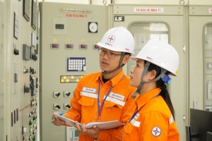 EVN và các đơn vị thành viên đảm bảo cung ứng điện cho phát triển kinh tế - xã hội