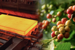 Chỉ số MXV-Index tăng 0,65%: Giá kim loại quý tăng, cà phê biến động