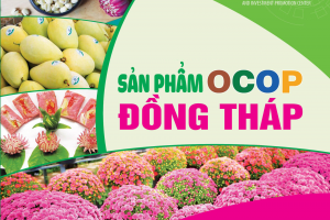 Đồng Tháp: Để sản phẩm OCOP đến gần hơn với người tiêu dùng