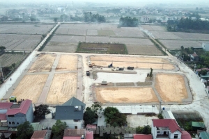 Sắp đấu giá 23 thửa đất ở tại xã Tiên Dược, huyện Sóc Sơn