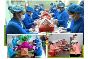 Đồng Tháp: Doanh thu từ làng nghề, làng nghề truyền thống đạt khoảng 2.042 tỷ đồng/năm