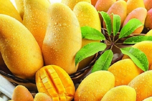 Xoài: 'Siêu thực phẩm' giúp phòng ngừa tiểu đường type 2