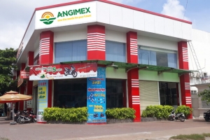Vi phạm trong lĩnh vực chứng khoán, Angimex bị xử phạt 80 triệu đồng
