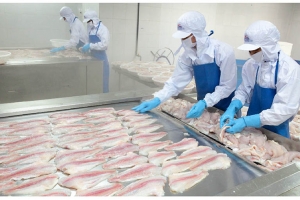 Thủy sản Mekong đặt mục tiêu khiêm tốn với doanh thu 150 tỷ đồng, không phát sinh thua lỗ