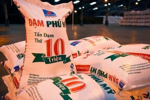 Phân bón và Hóa chất Dầu khí Miền Bắc đặt mục tiêu lợi nhuận tăng 15% trong năm 2025, nhờ hưởng lợi từ chính sách thuế VAT 5%