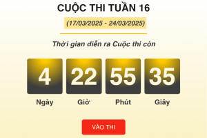 Hơn 6.300 lượt thi “Chống hàng giả và lừa đảo trực tuyến” tuần 16