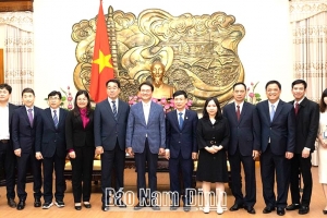 Cơ hội việc làm cho lao động Nam Định sang Hàn Quốc lao động thời vụ