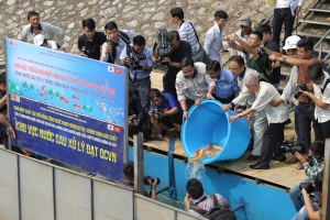 Khi nào: “Nước sông Tô vừa trong vừa mát?”